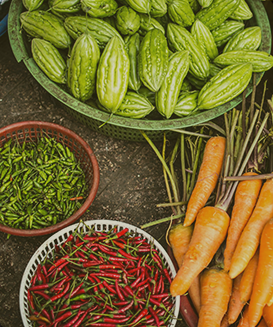 Nouri Export
