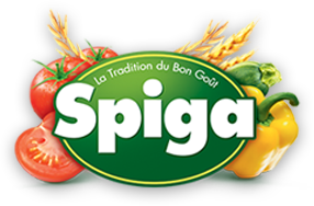 xspiga logo.png.pagespeed.ic .ul3tYWy3hd